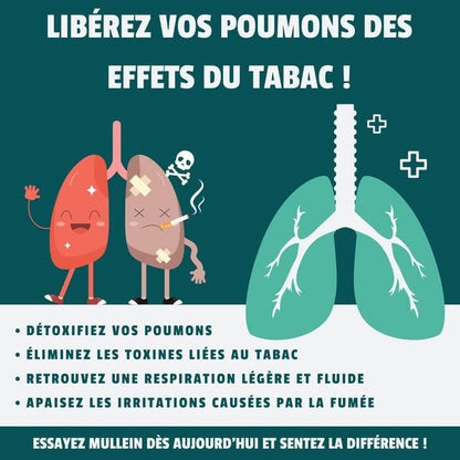Gouttes pour les poumons à la molène (CFQ)