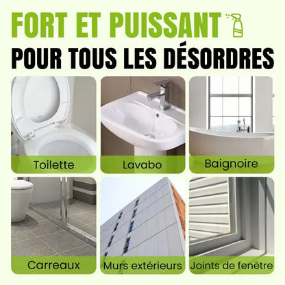 300ML Spray de Nettoyage Multi-usages à l'Acide Oxalique pour Éliminer les Taches Chad
