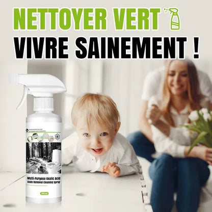 300ML Spray de Nettoyage Multi-usages à l'Acide Oxalique pour Éliminer les Taches Chad