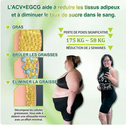Berberine × NAD+ 10-en-1 Nano Microneedle Avancé Patch • (Une seule fois par jour) V Pour l'obésité, peau relâchée, diabète, apnée du sommeil, problèmes articulaires, et bien plus