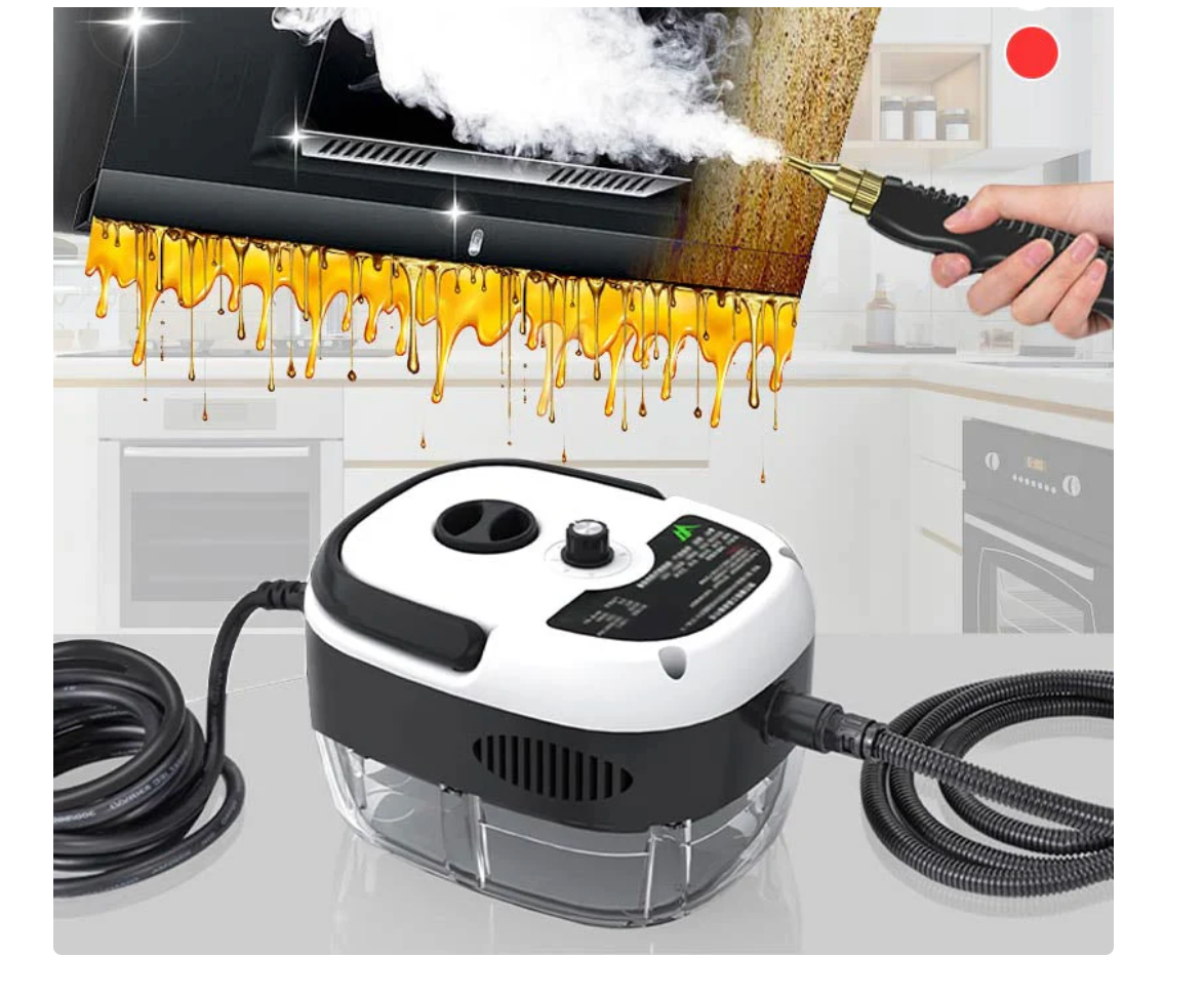 2500W Nettoyeur à Vapeur à Haute Température Pressurisée Portatif