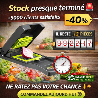 NOUVEAU Hachoir à légumes professionnel