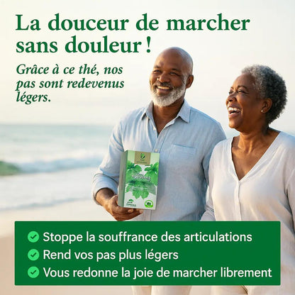 DOULEURS AUX PIEDS, GENOUX, DOIGTS ? ÉLIMINEZ L’ACIDE URIQUE ET MARCHEZ ENFIN SANS SOUFFRIR
